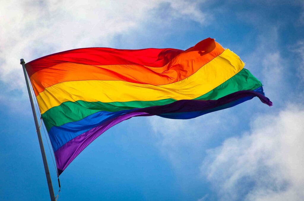 lgbtqia+Flag