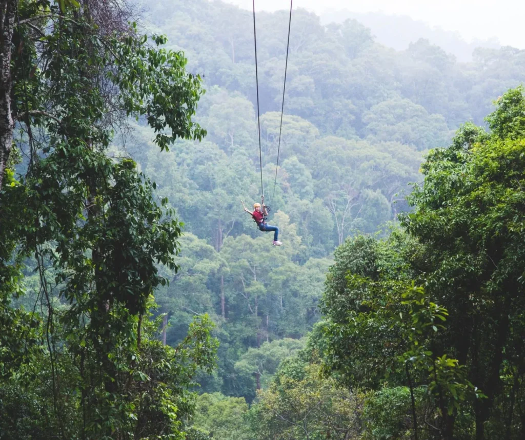 Jungle Flight